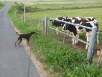 Foto 1  ...wer seid denn Ihr????...